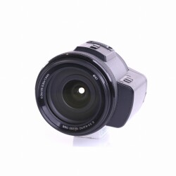 Sony SEL-P 18-200mm F/3.5-6.3 OSS Video-Zoom (E-Mount) (gut)